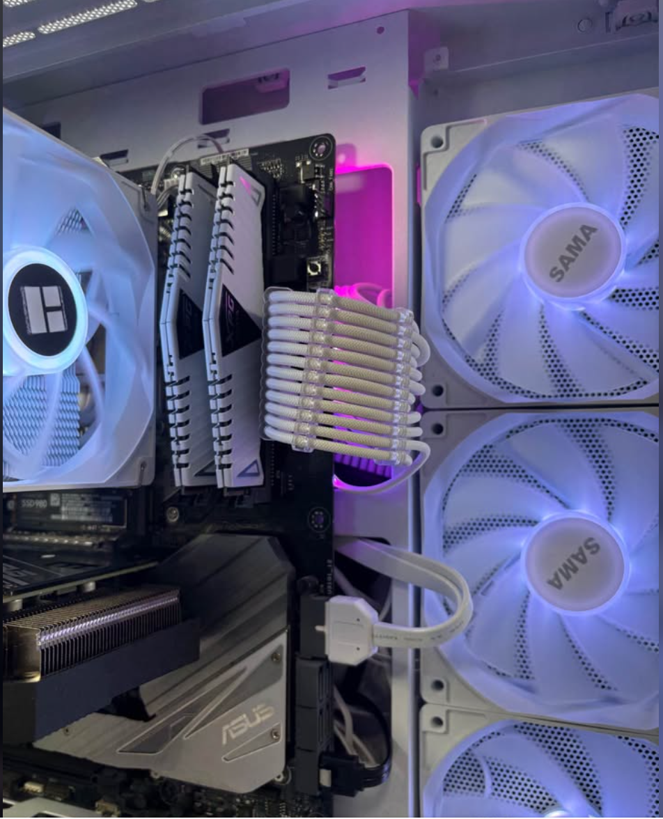 RAM and side panel fans detail